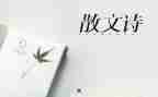 高中作文抒情800字作文6篇