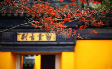 寺的调查报告通用8篇