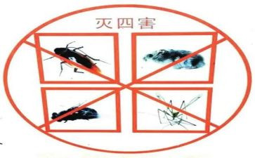 村除四害工作总结8篇