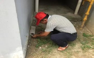 幼儿园防四害工作计划5篇