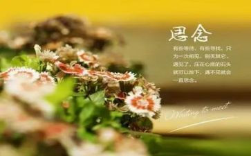 思念作文400字推荐6篇