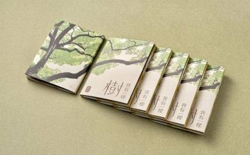 四史教育的心得体会7篇