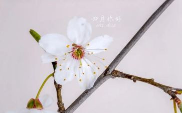 四月安全工作总结8篇