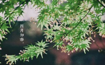 四月幼儿园教师总结5篇
