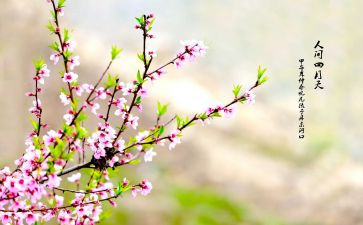 四月工作计划7篇