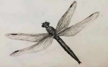 素描课工作总结8篇