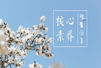 教师素养学习心得体会5篇