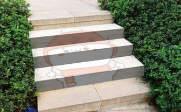 作文那一刻我迈上新台阶500字7篇