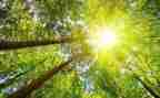 番茄太阳教学反思7篇