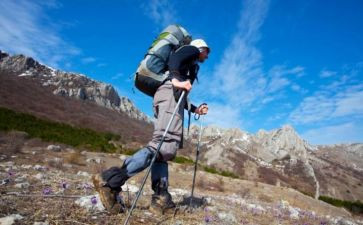 荒探险记作文600字模板8篇