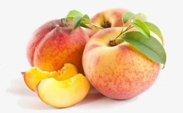 摘桃子的作文5篇