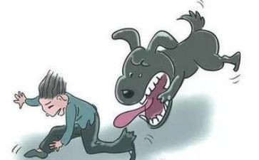 猜猜他是谁?教案5篇