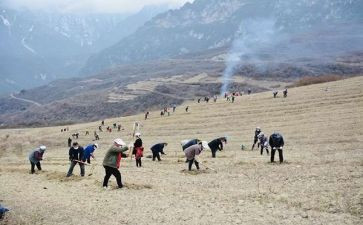 2024年特岗教师个人总结通用6篇