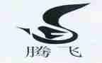 腾飞祖国的作文6篇