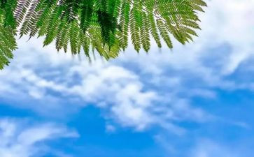 谈天气的教案模板6篇