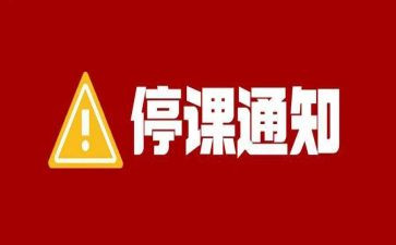 停学不停课工作总结8篇