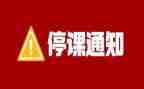 停学不停课工作总结8篇