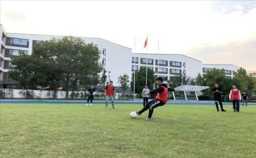 体卫艺工作总结7篇