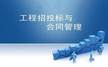 投标办的工作总结8篇