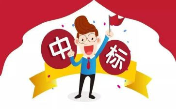 投标员工作总结范文6篇