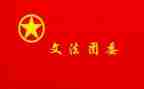 院团委发言稿范文5篇