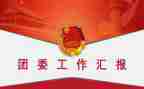 党管团委工作总结通用8篇