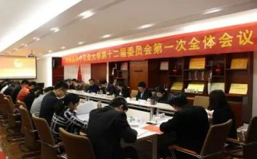 团委会工作总结5篇