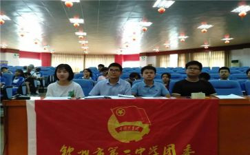 团委会工作总结个人总结8篇