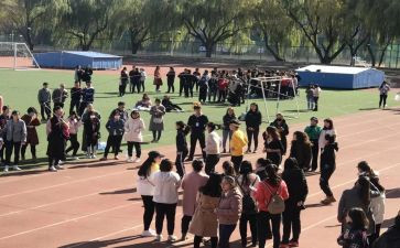 团文体的工作计划7篇