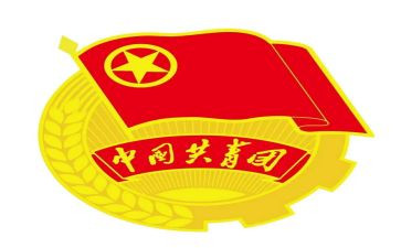 团支部书记培训心得体会6篇