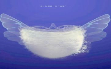 蜕变成长演讲稿8篇