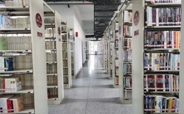 图书馆工作计划总结简短6篇