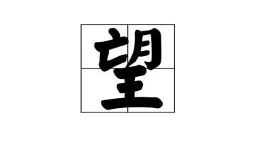 我的新年愿望作文8篇