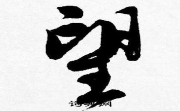 探望孤寡老人活动总结8篇