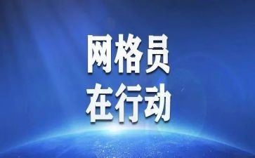 村优秀网格员事迹6篇