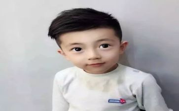 小王子阅读后感模板6篇