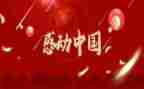 年度感动中国人物事迹材料6篇
