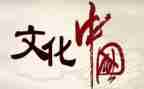 宣传文化活动总结7篇