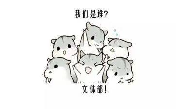文体站述职报告7篇