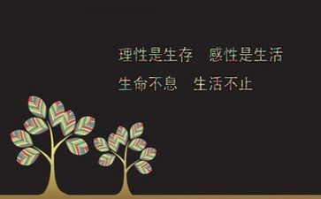 年度工作计划文字5篇
