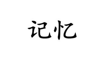 在我的记忆中作文500字5篇