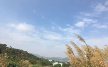 写我的一天的作文参考6篇