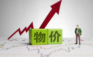 物价的调查报告5篇