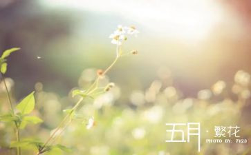 学生会五月份工作计划8篇