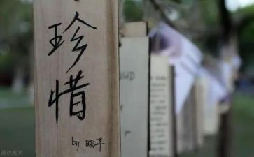 珍惜水资源作文模板7篇