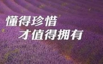 关于生命和珍惜的演讲稿7篇