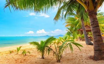 大班夏天到教案7篇