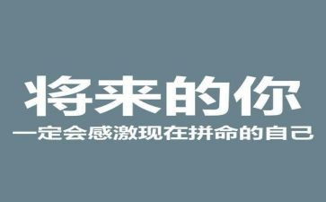 贤合庄市场调查报告7篇