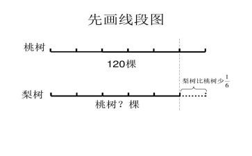4.2线段,射线,直线教案8篇