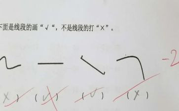线段、射线、直线教案6篇